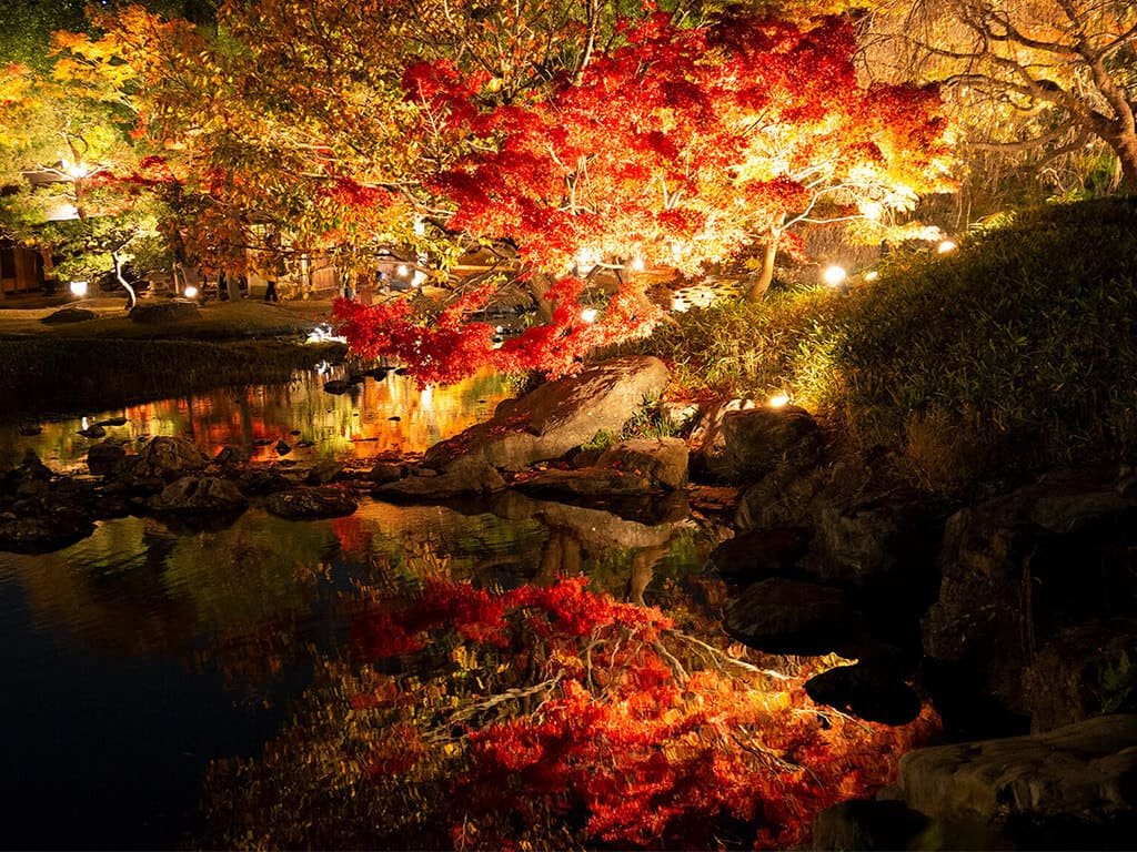 🦢 백조 정원(시라토리테이엔) 이미지 4